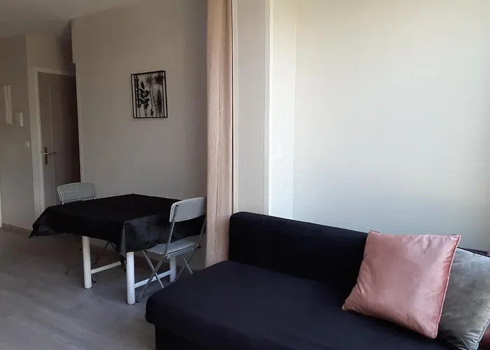 T2 Bord De Avec Jardin Et Piscine 圣艾格夫